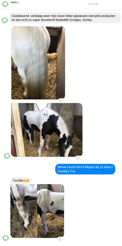 https://gallopinggoop.ccvshop.nl/Files/8/132000/132210/FileBrowser/2/ashley2.jpg