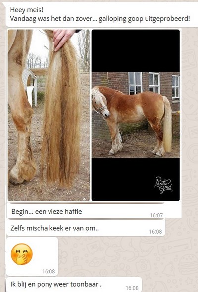 https://gallopinggoop.ccvshop.nl/Files/8/132000/132210/FileBrowser/2/gg10-kopie-.jpg
