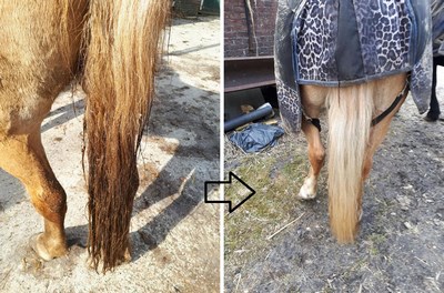 https://gallopinggoop.ccvshop.nl/Files/8/132000/132210/FileBrowser/2/gg4-kopie-.jpg